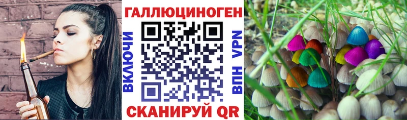 ссылка на мегу сайт  Лесосибирск  Псилоцибиновые грибы Psilocybe 